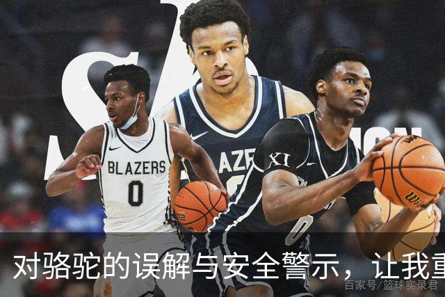 对骆驼的误解与安全警示，让我重新认识它们的威力